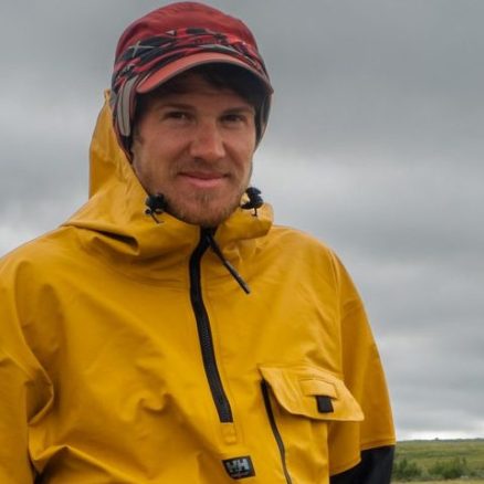 photo of a dishovelled Robin in the field