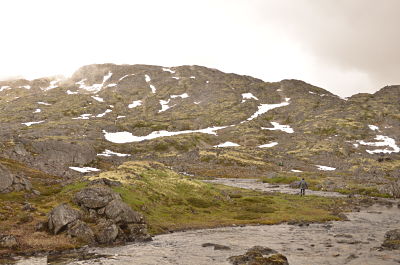 Photo of a mountainside and a river